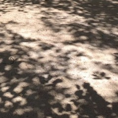 Last Summer Sessions 2016 0831