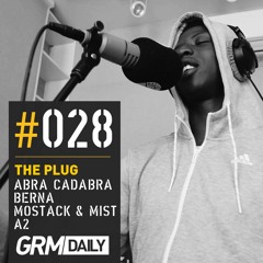 Plug #028