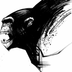 ECHO BEAT - Angry Monkey (Original Afro)