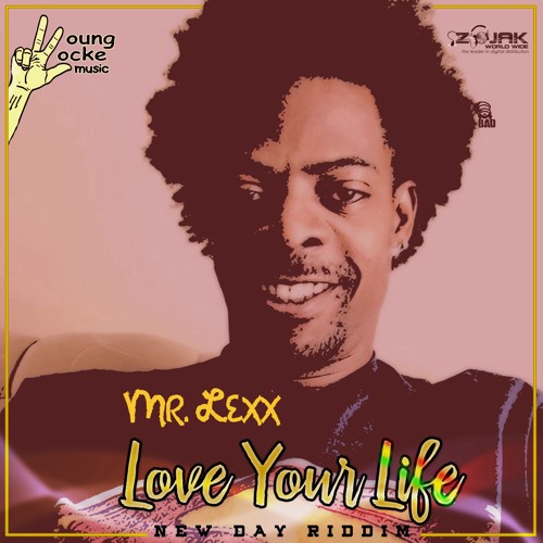 MR LEXX - Love Your Life