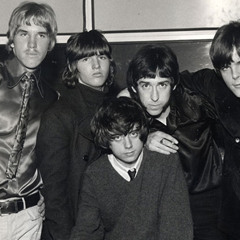 Rick Brown of The Misunderstood - Never Had A Girl Like You Promo