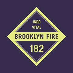 INDO - Vital (Original Mix)