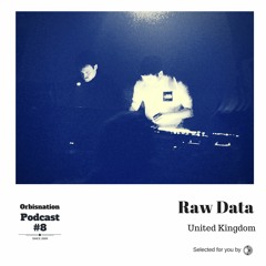 Orbisnation Podcast #8 - Raw Data (100% Analog Liveset)