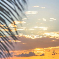 Guzy | Rebirth of Spring V