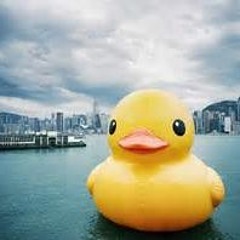 *FREE DOWNLOAD* Duck Sauce - NRG (Skrillex, Kill The Noise, Milo & Otis Remix) (Skindogg Edit