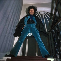 MOTIVATE (euterqe x IIIAI)