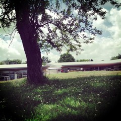 大きな栗の木の下で / Under the Spreading Chestnut Tree