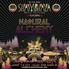 Shambhala Music Festival - The Grove 2016