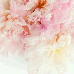 De nuevo - Kas Salazar.mp3