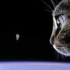 Three Days Grace -I hate everything about you (nis10 DnB edit)