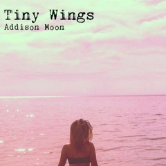 03 Tiny Wings