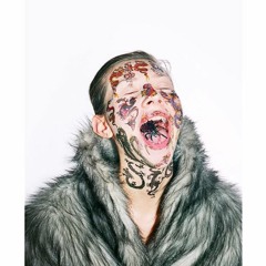 Electrolla - Magnolic