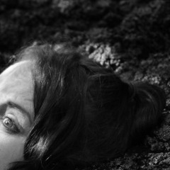 Built to roam (cover)