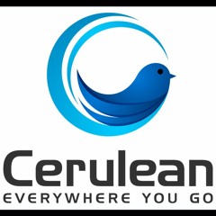 Episode 002 Cerulean Mobile - Where Is The Wizard?
