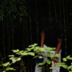 Lavender Town/Atlas' Elevation Prod. Eelay (T3)