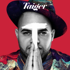 Feat El Taiger - La Maldad