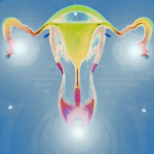 Dragon - Bo Bo Nomad And Indii Moon