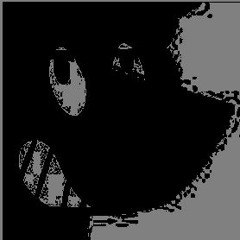 Intro