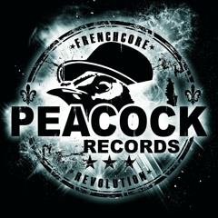 Dr Peacock & Maissouille - Breaking Bass Peacock's Re Fix