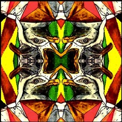 With Birds (Birdstep)