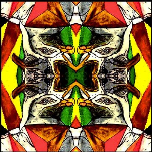 With Birds (Birdstep)