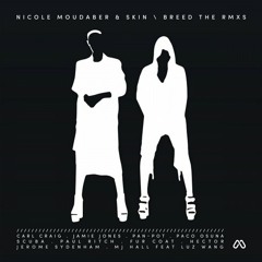 Nicole Moudaber & Skin - You Like This (Hector Remix)