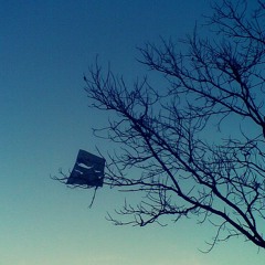 Layang - Layang Pohon Randu