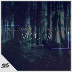 Ollie Crowe & Rich James ft. NK - Voices