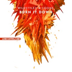 Wildstylez & Coone - Burn It Down