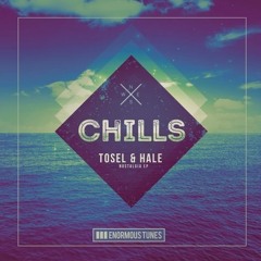 Tosel & Hale Feat. Cotry - A Promise (Radio Edit) [Enormous Chills]