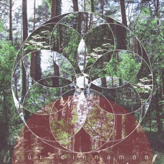 Súr Cinnamon - Hidden Night