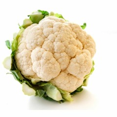 Glue70 - Casin EXTENDED