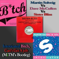 Martin Solveig & Dave McCullen & Sister Bliss - Intoxicated Bitch, Can't Get A Job(MiTM's Bootleg)