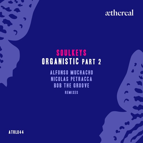 Soulkeys - Organistic (Nicolas Petracca Remix)