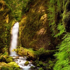 Never Forget You (feat. Alex Foster)