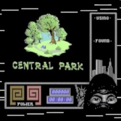 Matt Gray - Central Park Loader Last Ninja 2 Reformation