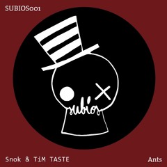 Snok & TiM TASTE - Ants In The Night (Original Mix)