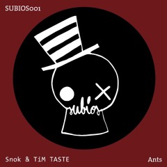 Snok & TiM TASTE - Ants On A Plane (Original Mix)