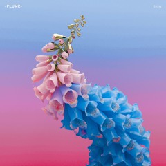 Flume - Take A Chance (Ft. Little Dragon) (Slowed Ambient Edit)