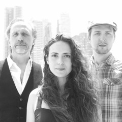 Dinosaurs & Stars (Acoustic Bill Grady Demo)