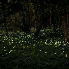 ابتهال ما بين زمزم والحطيم الشيخ نصر الدين طوبار.mp3