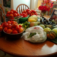 Will you take me back