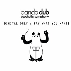 Panda Dub - "Crazy world"