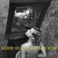 Mirrorless Bathroom (wireform 2016)