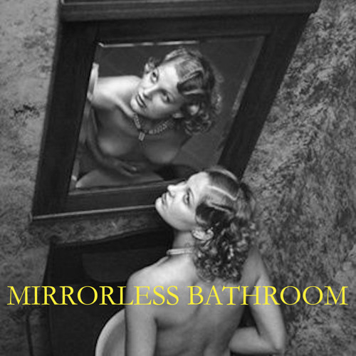 Mirrorless Bathroom (wireform 2016)