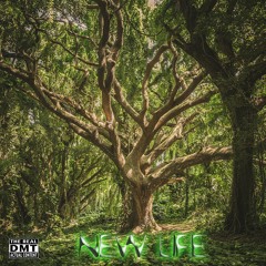 New Life - The Real DMT - Free Download