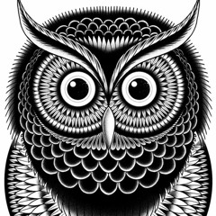 - Electrochouette mix 01