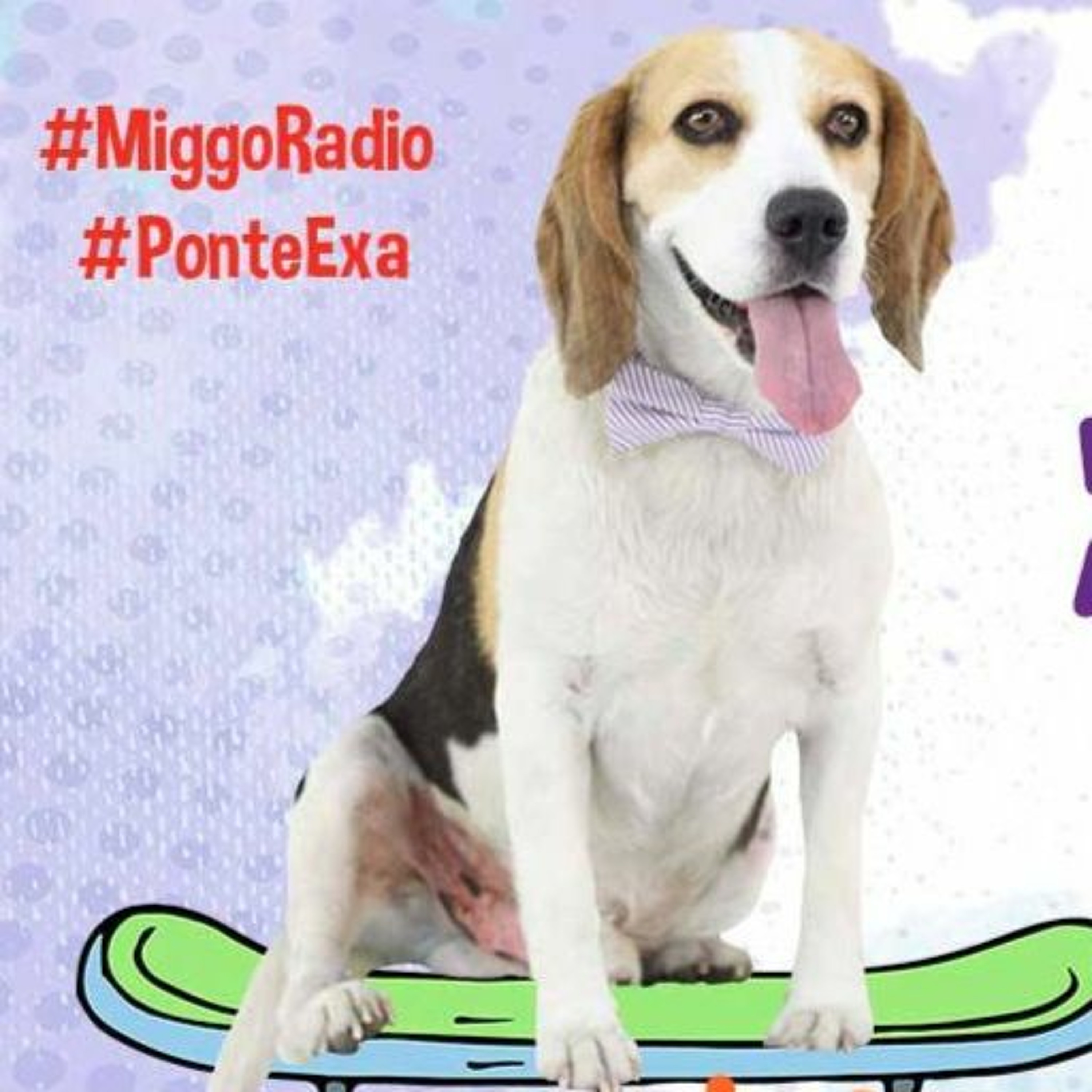 MONSTRUO MIGGO episode artwork