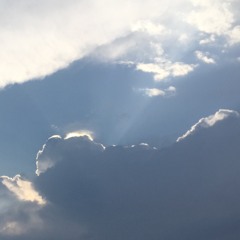 The Scientist - Morgan Rysso