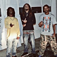 All My Niggas Is Savage